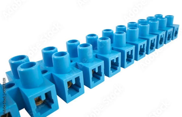 Fototapeta the cord-end terminals