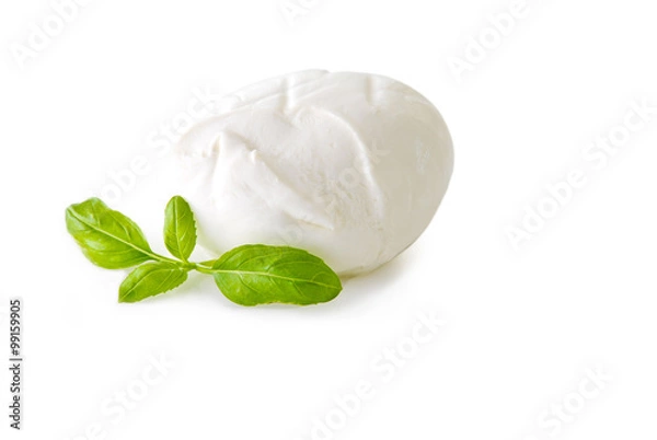 Obraz Mozzarella isolated on white background 