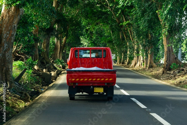 Fototapeta Red truck on the road aligned with trees on both sides of the road