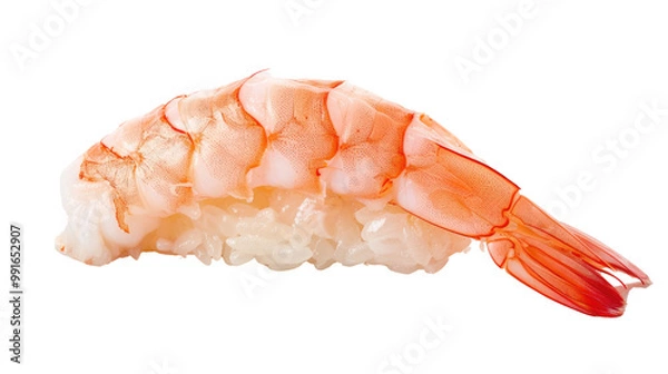 Fototapeta Close-Up of Fresh Shrimp Nigiri Sushi on White Background Isolated for Culinary and Food Photography