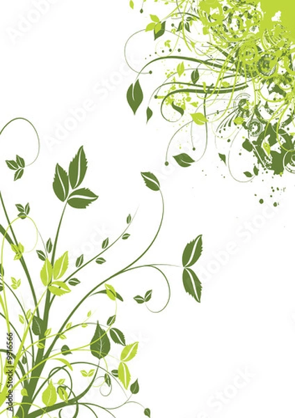 Obraz tige et feuille verte