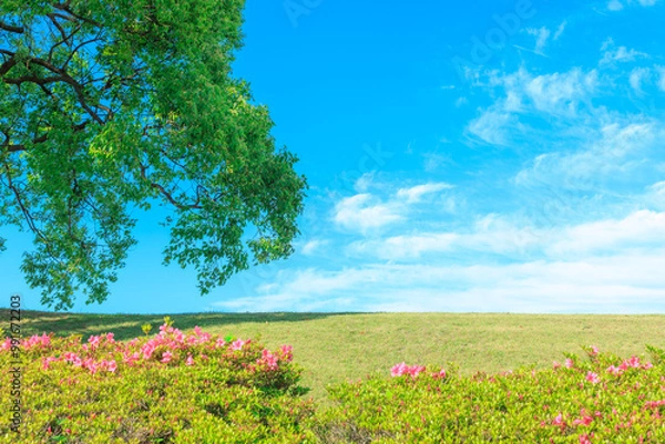 Obraz 青空と樹木と植え込みのある土手