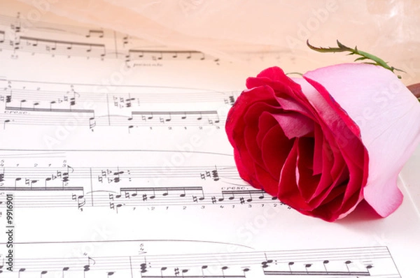 Fototapeta flowers and notes