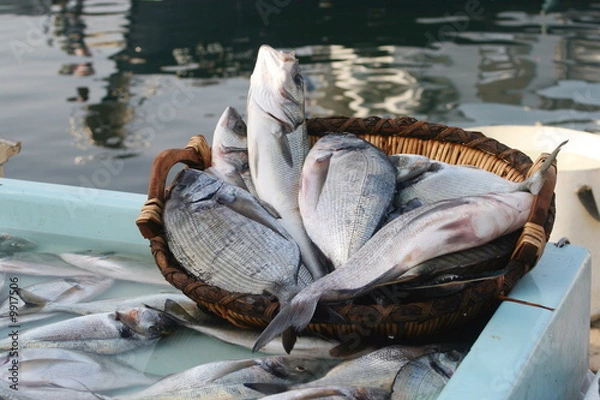 Fototapeta Criée Vieux port Marseille