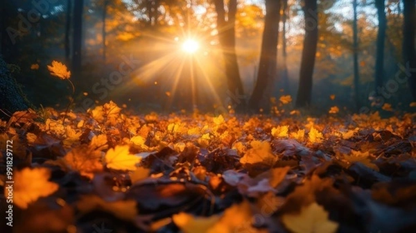 Fototapeta Falling Leaves in a Tranquil Autumn Forest at Golden Hour