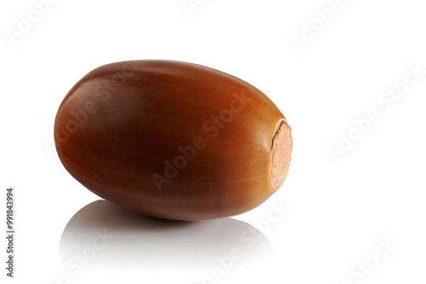 Fototapeta Ripe acorn on a white background