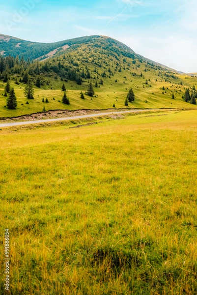 Fototapeta Romania Transalpina road with many serpentines crossing forest in  Carpathian mountains. Mountains forest trees with road in Parang mountains