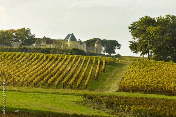 Obraz Bordeaux Chateau d Yquem