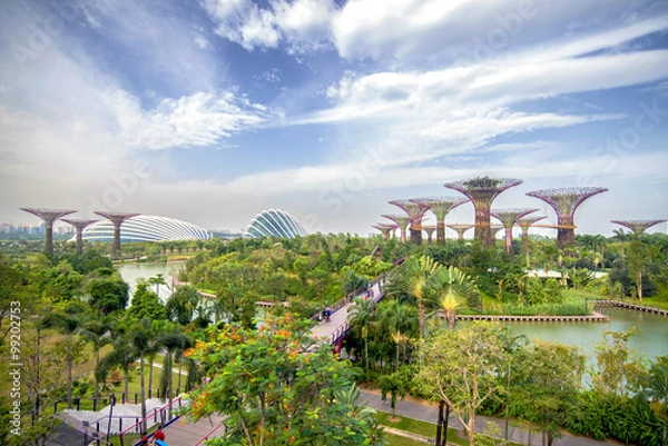 Obraz  The Supertree at Gardens by the Bay