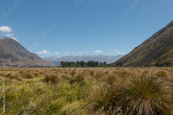Fototapeta Riverbed of Rangitata river between mt Peel and mt Harper, Cante