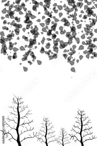 Obraz arcre feuille jour