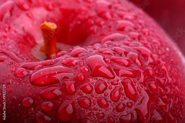 Obraz Red apple macro