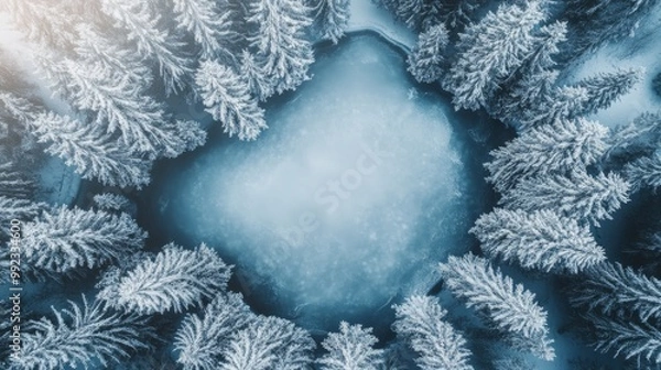 Fototapeta Aerial View of a Frozen Lake Surrounded by Snow-Covered Pine Trees