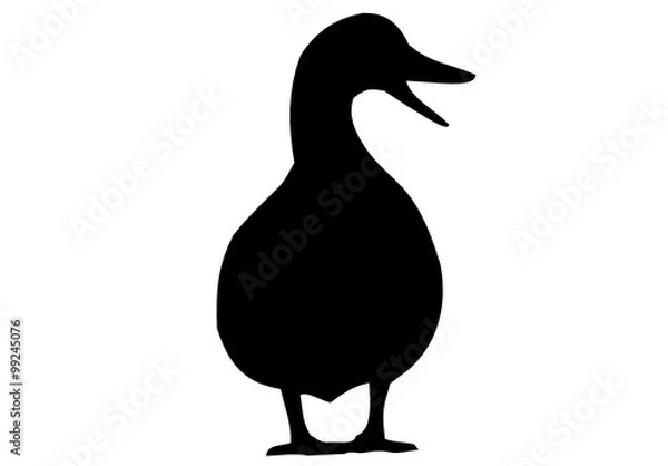 Obraz a duck 