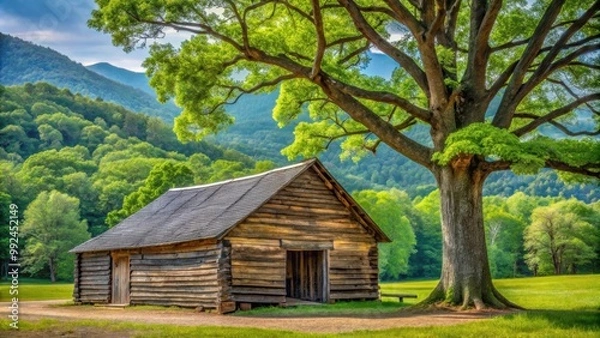 Fototapeta Rustic old log barn next to large tree in Cades Cove, Great Smoky Mountains National Park, rustic, old