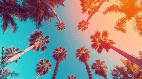 Fototapeta Vibrant background gradient from orange to blue, worm's-eye view of tall palm trees against clear sky, space for copy