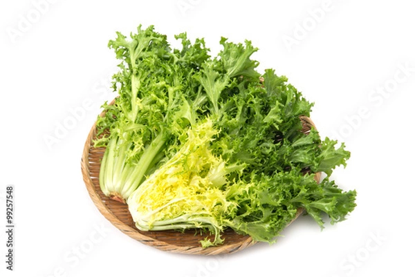 Fototapeta エンダイブ
