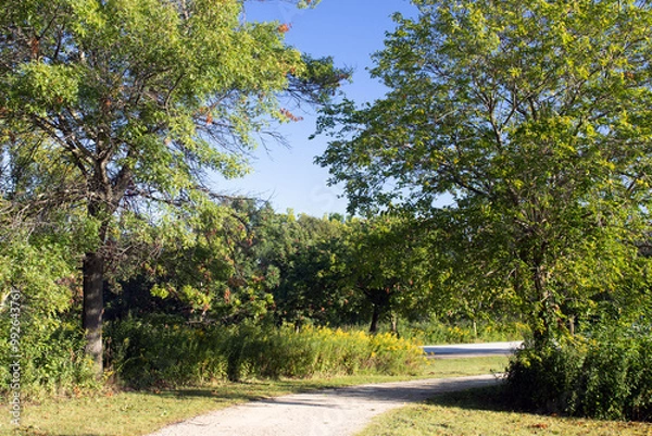 Obraz Native prairie plants and forest trees along a path in early morning light at Half Day Forest Preserve in autumn
