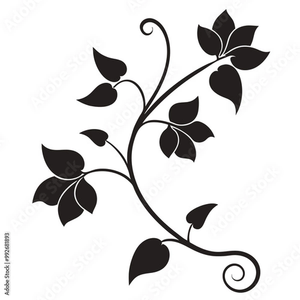 Obraz Elegant leafy vine illustration Silhouette vector line art 