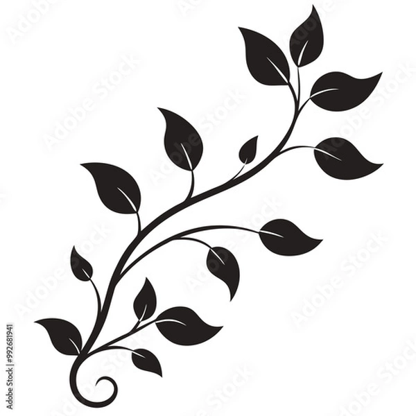 Obraz Elegant leafy vine illustration Silhouette vector line art 