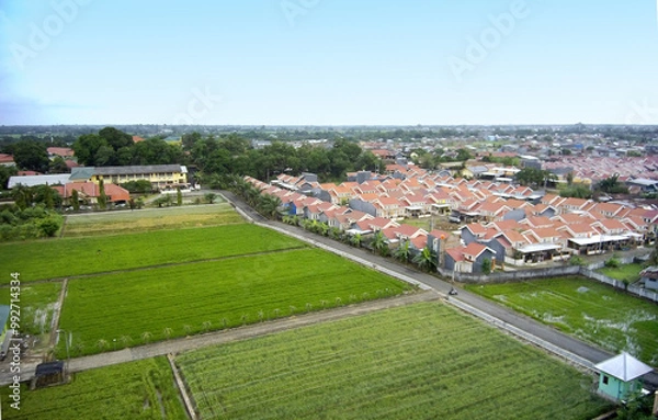 Fototapeta Aerial view of green nature with rice fields and housing.