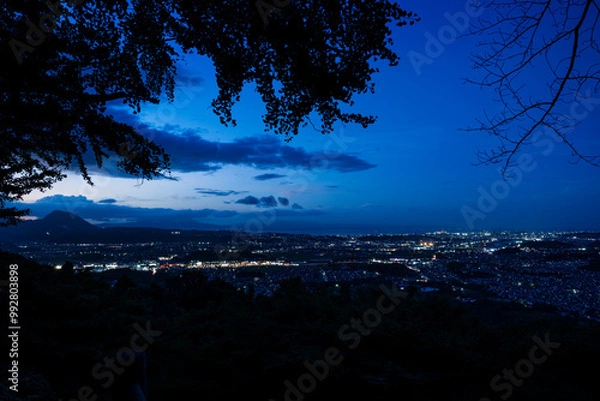 Obraz 霊山からの夜景　大分