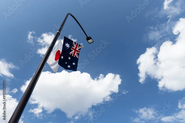 Fototapeta 青空のもと電灯でたなびく日本の国旗とニュージーランドの国旗