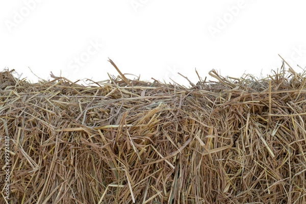 Fototapeta A pile of hay isolated on white background included clipping path.
