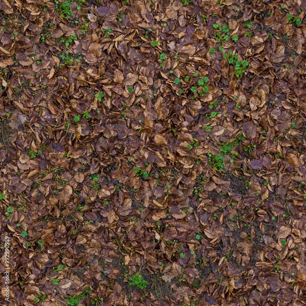 Fototapeta Forest Leafs (seamlessly tileable)