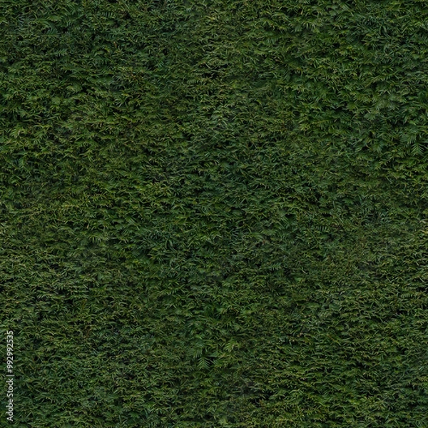 Fototapeta Hedge (seamlessly tileable)