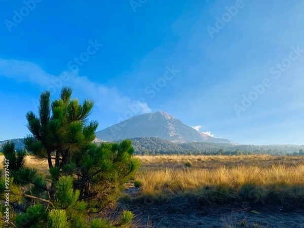 Obraz Vulkan Popocatepetl in Mexiko