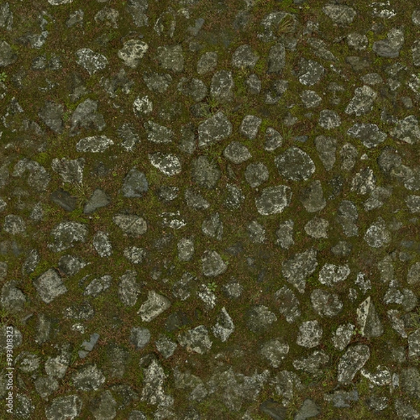 Fototapeta Mossy Boulder Floor (seamlessly tileable)