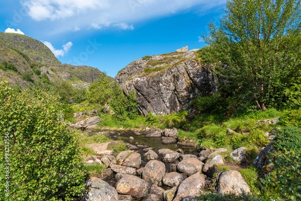 Fototapeta Landscape with mountain stream Studalselva near Munkebu-stig. Sorvagen in Lofoten district of Norway