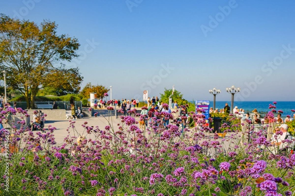 Obraz Ostseebad Kühlungsborn