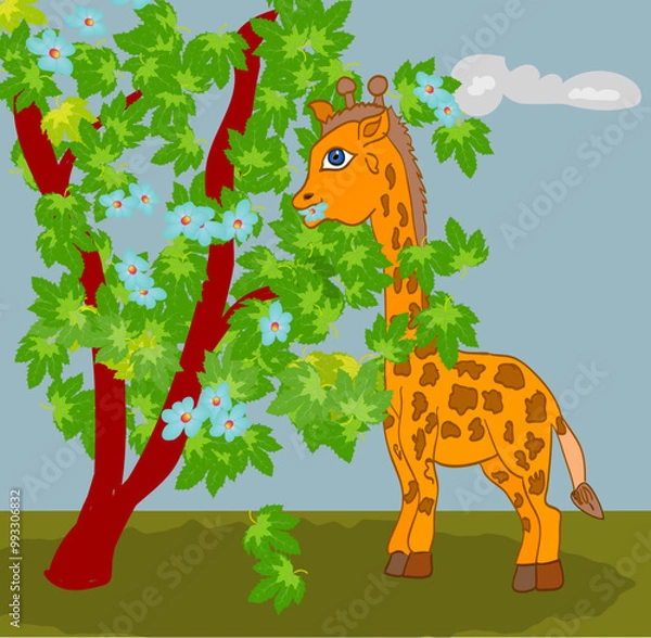 Fototapeta Little giraffe eating leaves from a tree. Vector illustration.