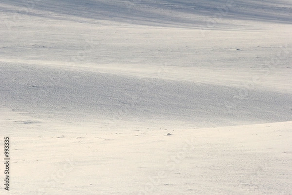 Fototapeta winter field