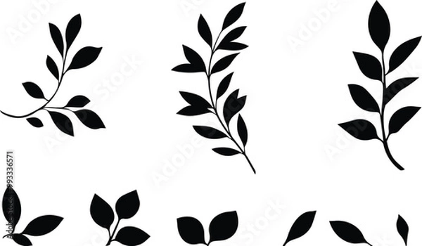 Fototapeta A collection of leaves arranged in a seamless pattern on a white background. Vecor design elements.
