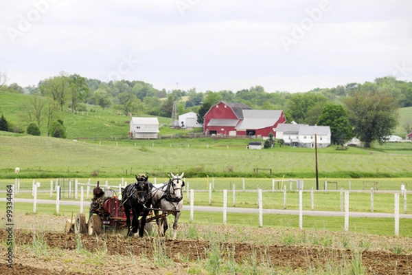 Obraz Springtime in Amish Country