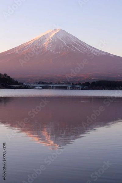 Obraz 河口湖と富士山