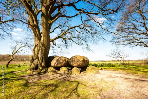 Fototapeta Ancient Dolmen (Hunebed D22 Bronneger), Drenthe, The Netherlands