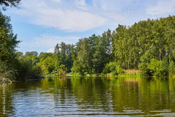 Obraz The Psel river in the autumn.
