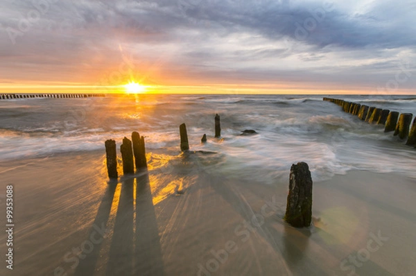 Fototapeta Paliki na morskiej  plaży