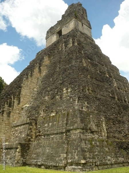 Obraz tikal 22