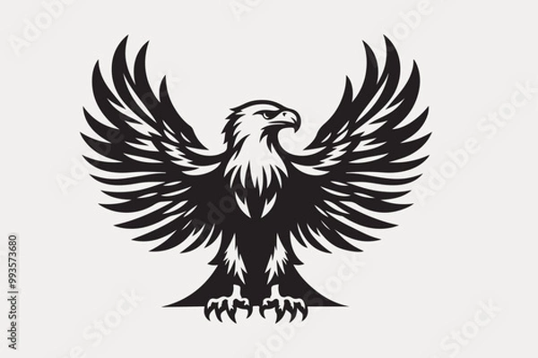 Obraz eagle vector and illustration