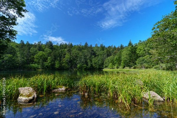 Fototapeta 空沼岳登山　万計沼の景色　札幌市の自然