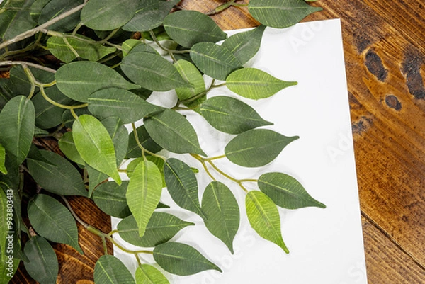 Fototapeta white sheet of paper on wooden background with leaves
