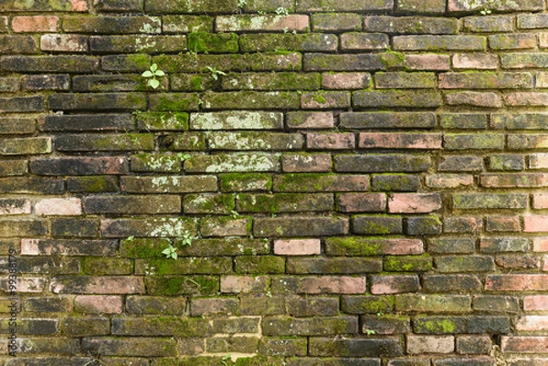 Obraz old red brick wall