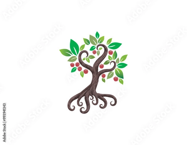 Fototapeta ancient mystical apple  tree with spiral roots
