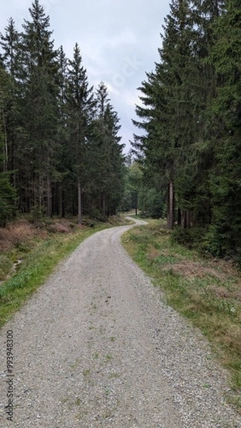 Obraz Neue Wege gehen