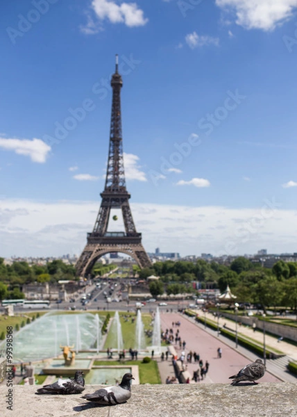 Fototapeta Pigeons sit on the stone in front of the Eiffel tower on Trocadero. Selective focus